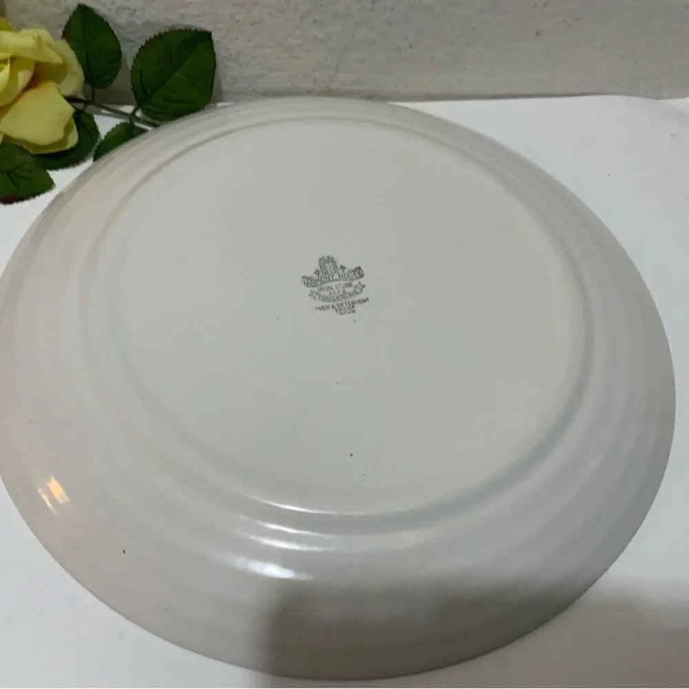 HARMONY HOUSE FINE CHINA TANGERINE 4264 Japan 12 3/8